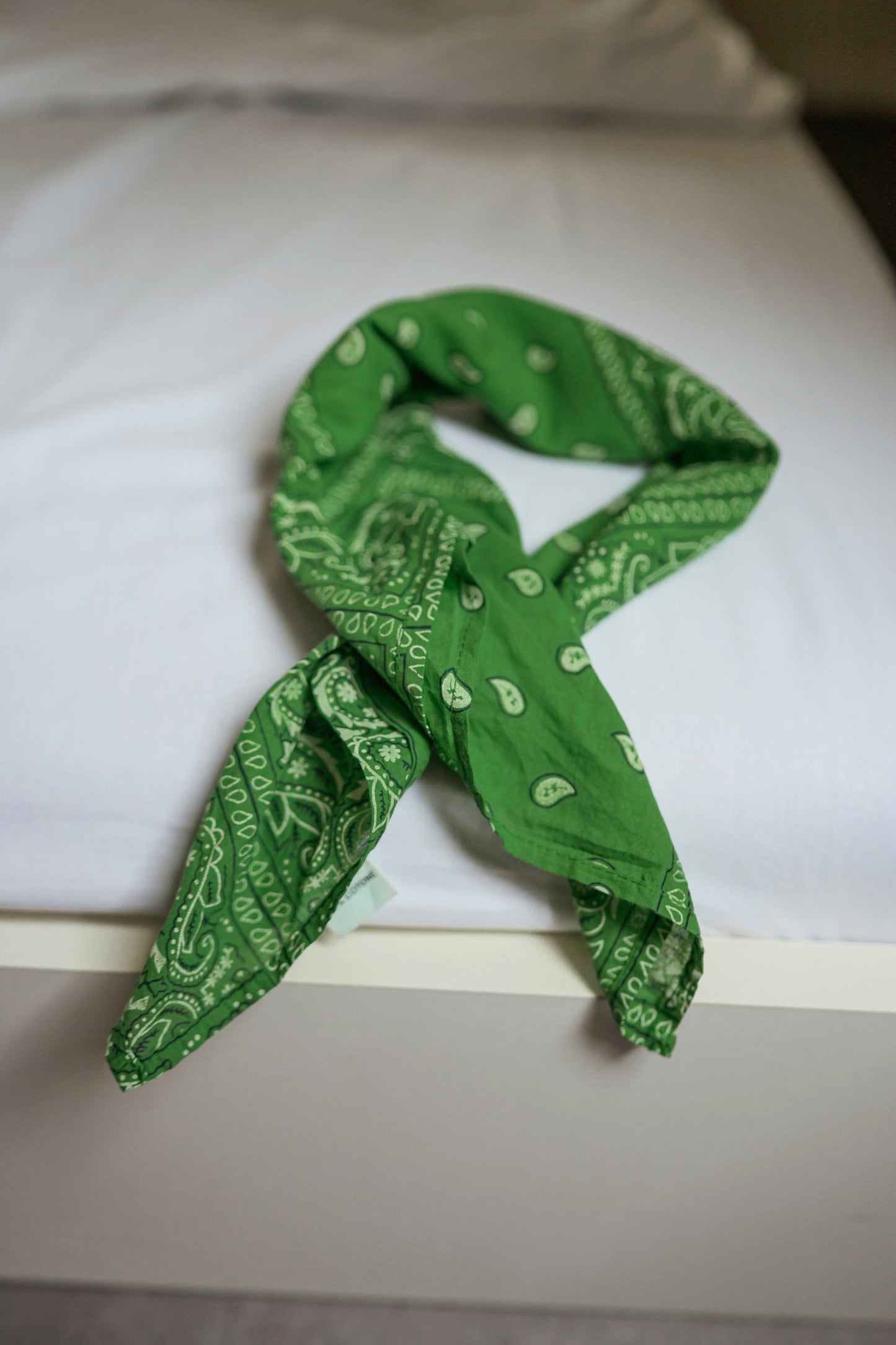 Green Bandana Denia Scarf