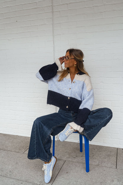 Blue Amren Cardigan